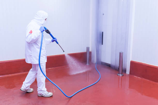 Best Dumpster Area Cleaning  in Spring City, PA